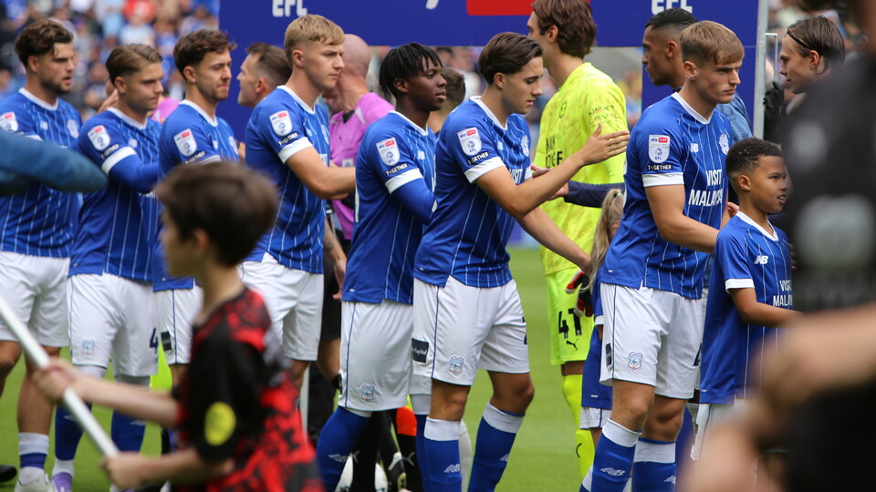 Cardiff City players