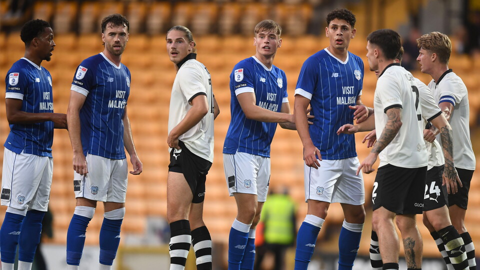 Cardiff City players