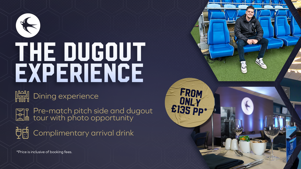 Dugout Experience