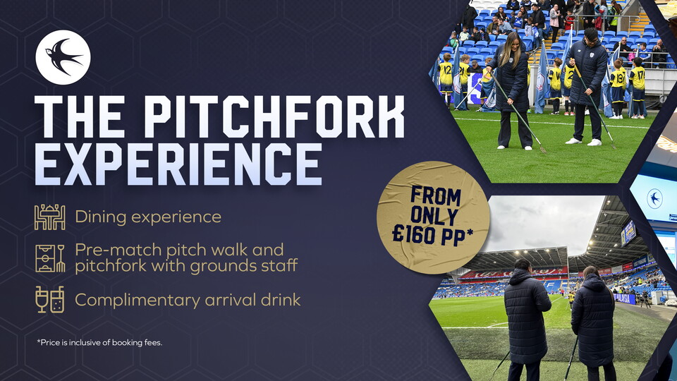 Pitchfork Experience