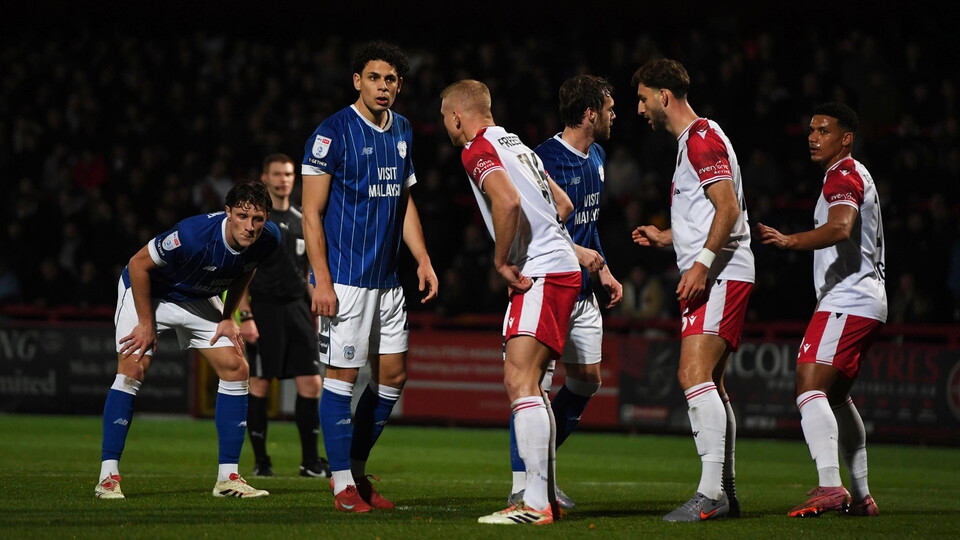Cardiff City players