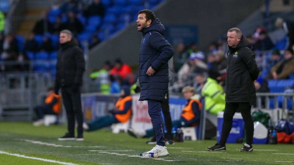 Brian Barry-Murphy on the touchline at Cardiff City Stadium
