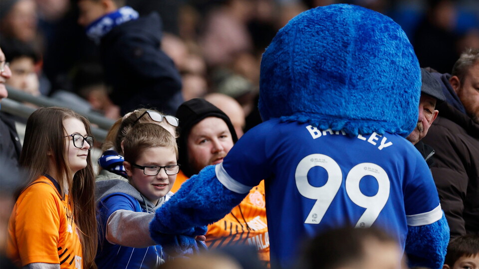 Cardiff City supporters