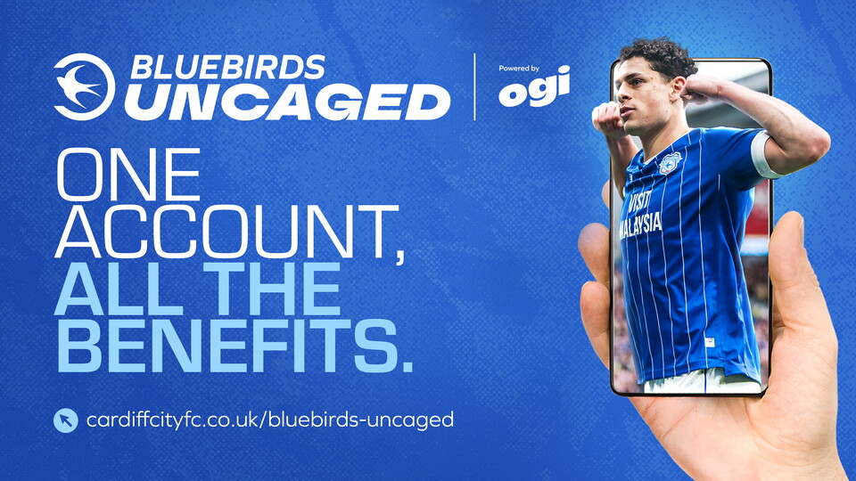 Bluebirds Uncaged
