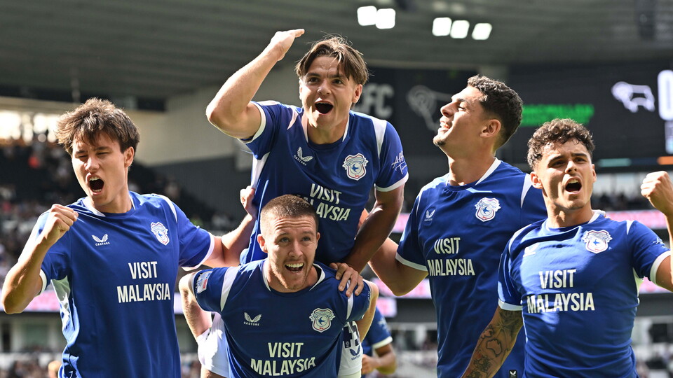 Cardiff City players