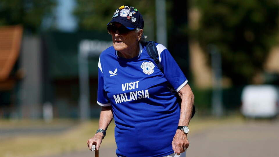 Cardiff City supporter