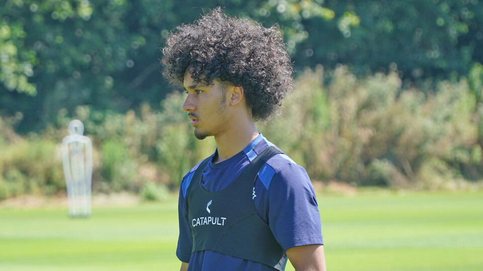 Pedro Araujo