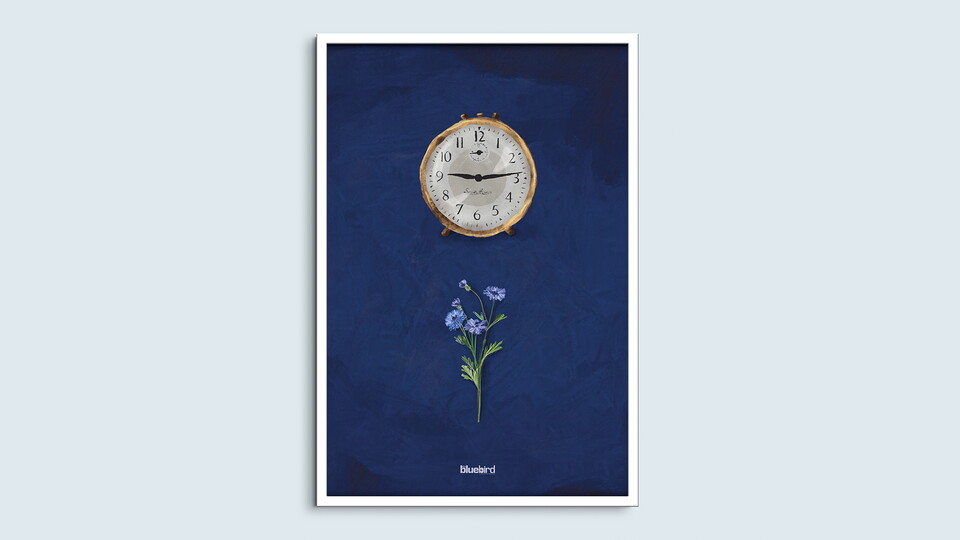 The Bluebird - vs. Birmingham City