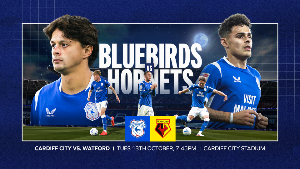 Cardiff City vs. Watford