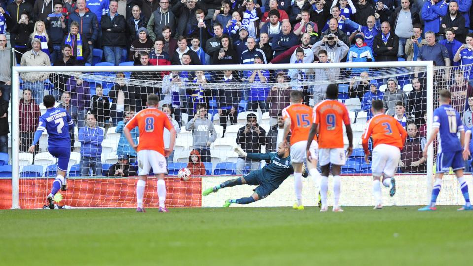 Birmingham City 2015 hero