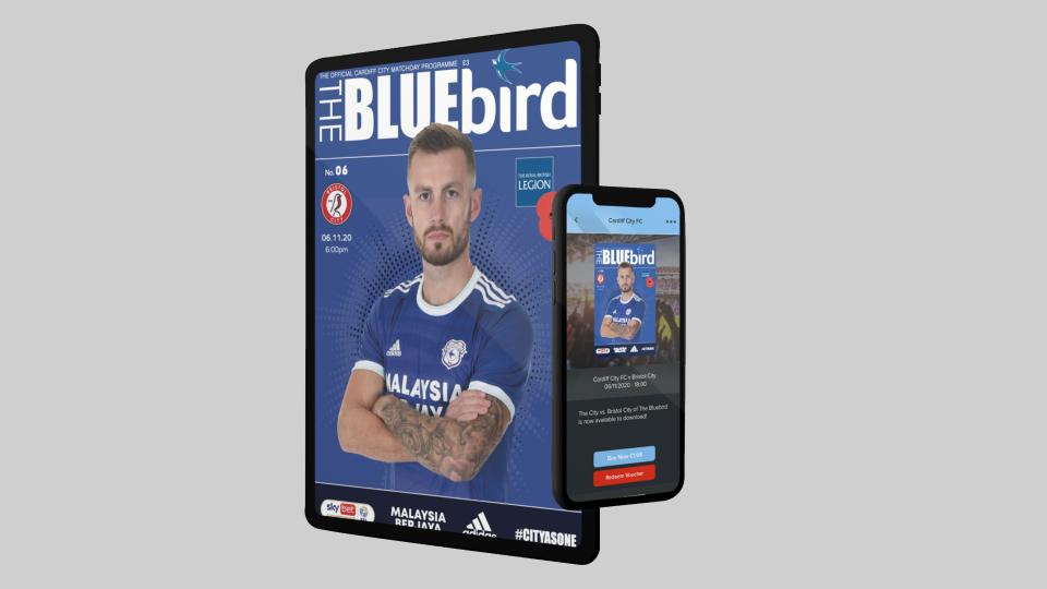 The Bluebird - Bristol City