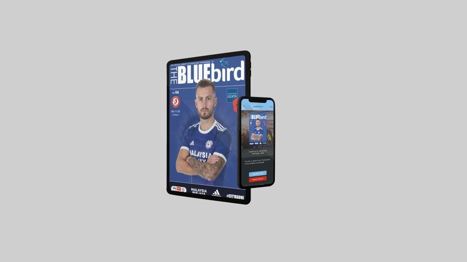 The Bluebird - Bristol City