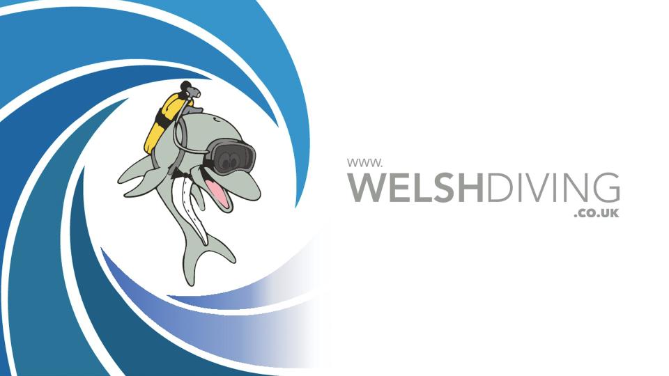 Welsh Diving link up with Cardiff City FC Women...