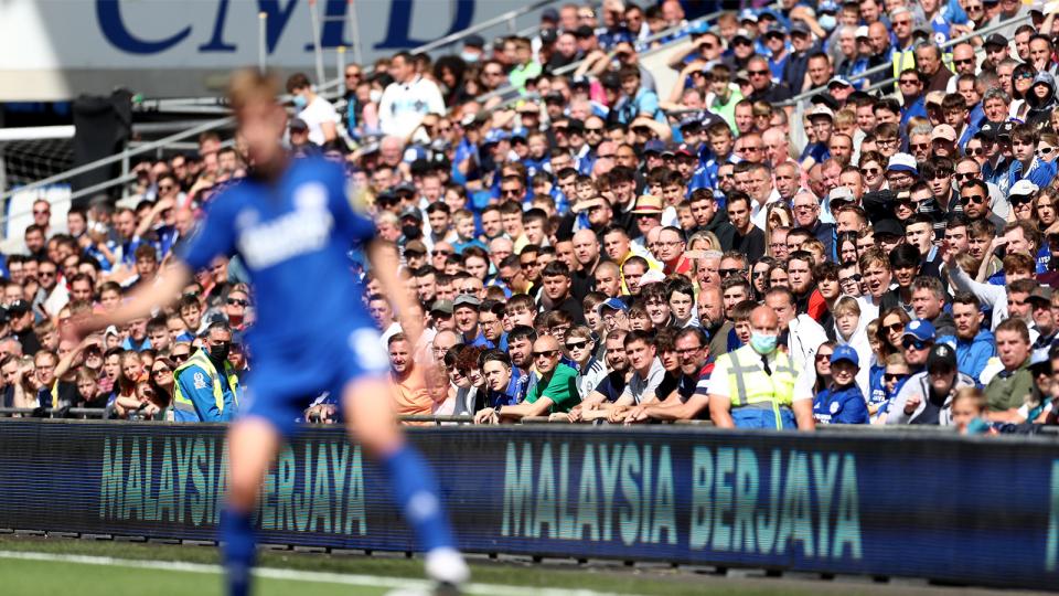 Cardiff City supporters