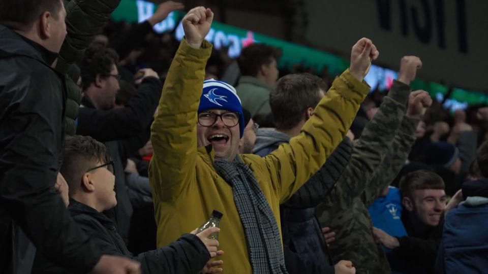 Cardiff City supporter