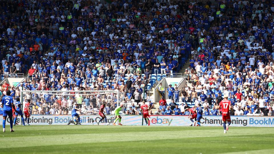 Cardiff City supporters