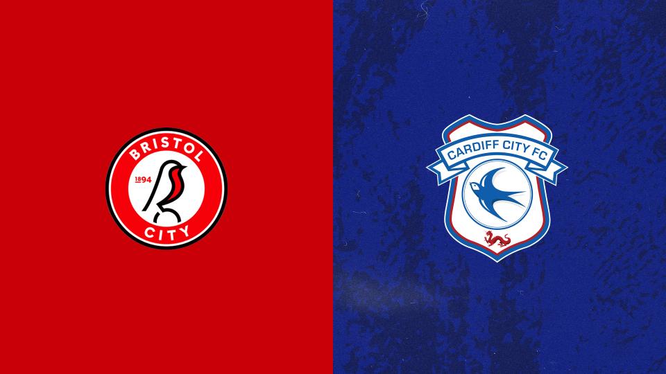 Bristol City Preview graphic