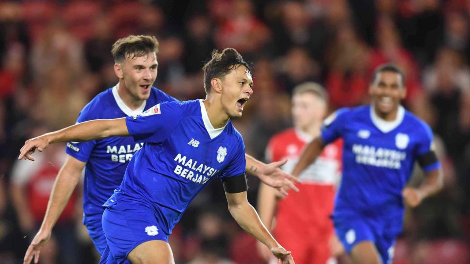 Perry Ng, Mark Harris