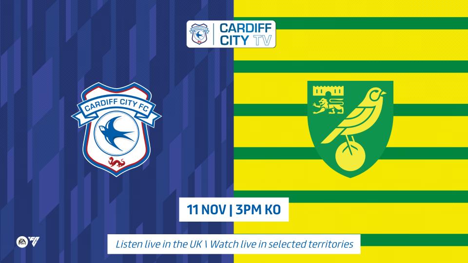 Cardiff City TV