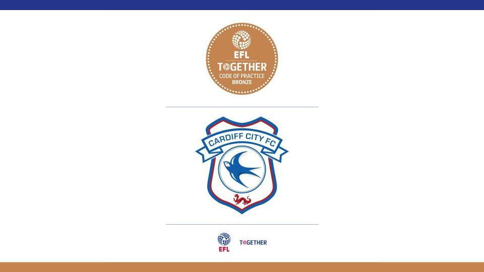 EFL Bronze Award