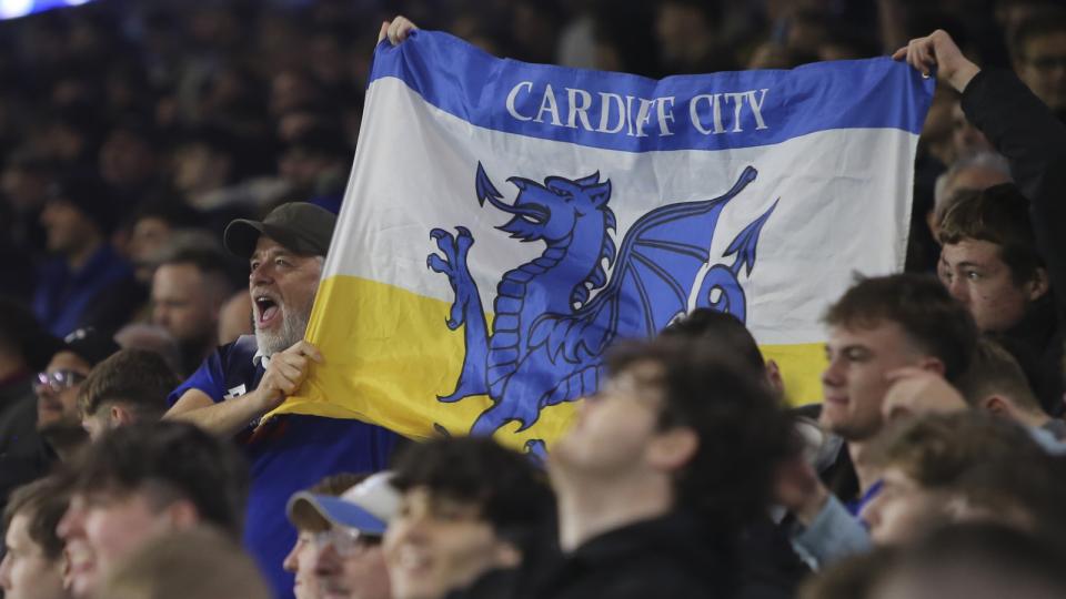 Cardiff City supporters