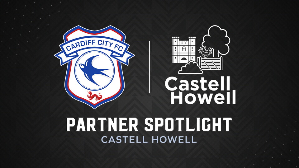Castell Howell