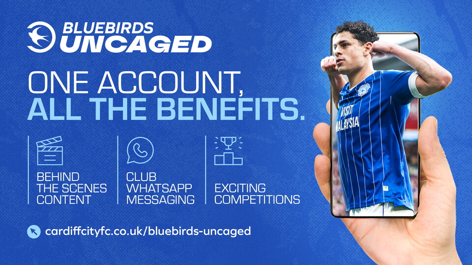 Bluebirds Uncaged