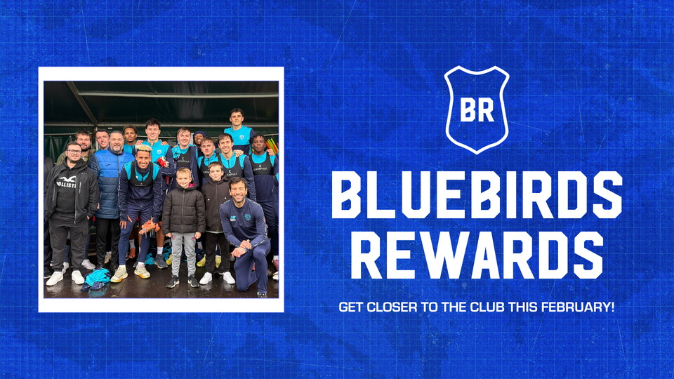 Bluebirds Rewards