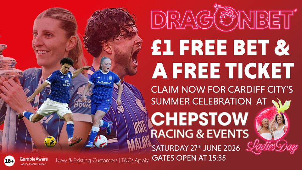 DragonBet Summer Celebration