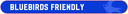 Bluebirds Friendly